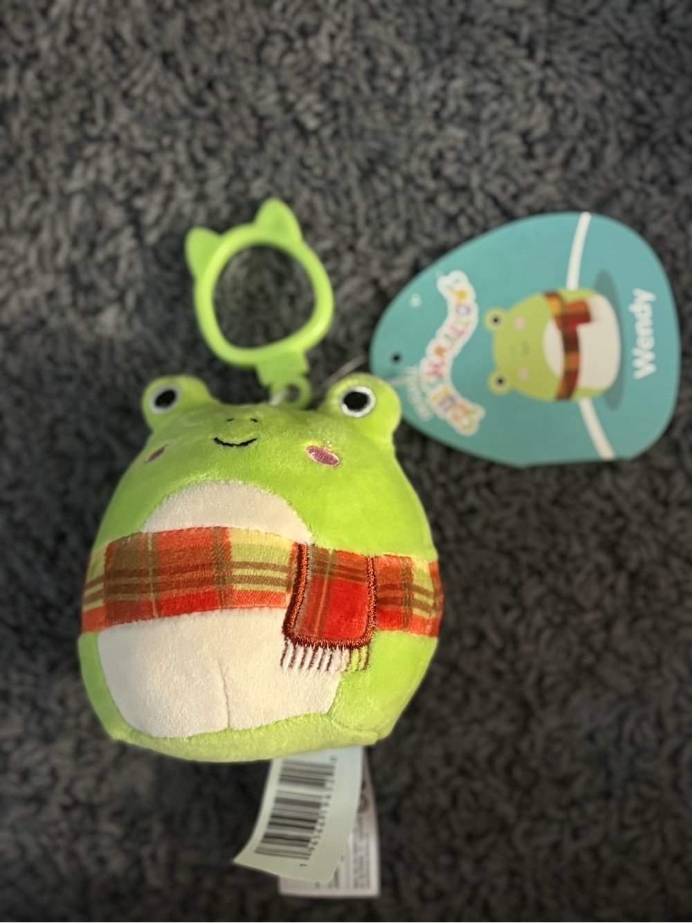 NWT Squishmallows frog with a scarf whose name is Wendy